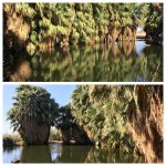 IMG_6325.jpg IMG_6325.jpg