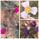 IMG_6488.jpg IMG_6488.jpg