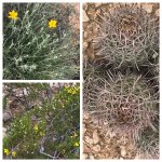 IMG_6489.jpg IMG_6489.jpg