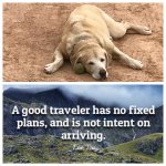 IMG_6506.jpg IMG_6506.jpg