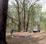 Screen Shot 2017-04-22 at 11.09.38 PM.jpg