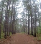 Screen Shot 2017-04-22 at 11.13.19 PM.jpg