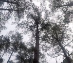 Screen Shot 2017-04-22 at 11.13.47 PM.jpg