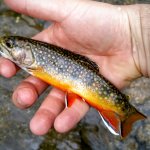 20160421_174832~3.jpg 20160421_174832~3.jpg