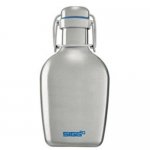 Sigg Flask1.JPG