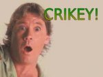 crikey.jpg