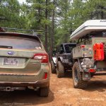 IMG_4557.jpg IMG_4557.jpg