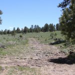 IMG_5761_Fotor.jpg IMG_5761_Fotor.jpg