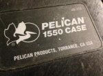 Pelican Logo.jpg