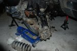 DSC_0394 (800x536).jpg