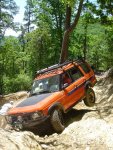 Safari '06 G4 D-IIa.JPG