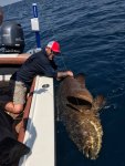 Goliath Grouper Fishing3.jpg