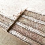 IMG_2350.JPG IMG_2350.JPG