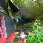 IMG_3767.jpg IMG_3767.jpg