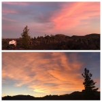 5C241A8B-7194-408B-8EC2-0B3F93C98BD4.jpeg 5C241A8B-7194-408B-8EC2-0B3F93C98BD4.jpeg