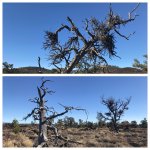 5AA455AB-B646-483F-AB25-98E6CC85384C.jpg 5AA455AB-B646-483F-AB25-98E6CC85384C.jpg