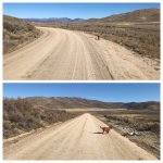 32E814AD-BA6B-44E4-95AE-95B100BF2196.jpg 32E814AD-BA6B-44E4-95AE-95B100BF2196.jpg