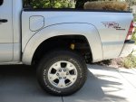 rear.JPG