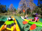 Weeki_wachee.jpg (11 of 40).jpg