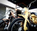 26229462_10212006391780027_4104123109789896814_n.jpg 26229462_10212006391780027_4104123109789896814_n.jpg