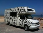 zebra camper.jpg zebra camper.jpg
