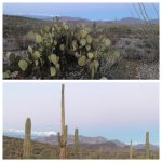 3AA1D1D0-0839-4924-BC31-5B86FD1C7201.jpg 3AA1D1D0-0839-4924-BC31-5B86FD1C7201.jpg