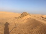 2Sahara recovery.jpg