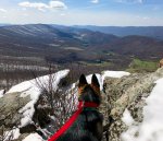 IMG_4454.JPG IMG_4454.JPG