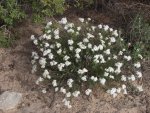 KokopelliTrailMoab2011 060.JPG