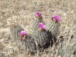 KokopelliTrailMoab2011 081.JPG