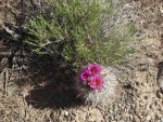 KokopelliTrailMoab2011 092.JPG