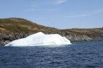 Icebergs & Whales  56-min.JPG