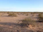 Desert 3.jpg