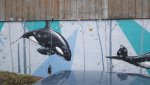 orca.jpg