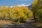 dirt-road-in-fall_Montana_5597.jpg