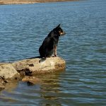 burrendong sept 21 22 23 2018 141.jpg