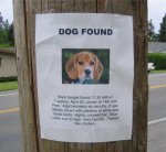 Sign_Dog_Found.jpg
