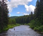 Montana Flyfishing.jpg Montana Flyfishing.jpg