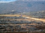 Baja1000(FirstBike#311-21-08)EM.jpg