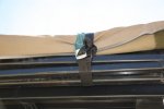 SMD_ DSC_0581.jpg