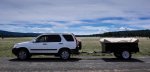 CRV kakadu .jpeg