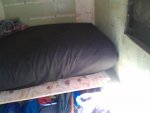 IMAG0380.jpg