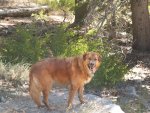 monache and green creek 016.JPG