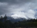 P1000248.jpg