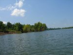 2011 river deer swimming.jpg