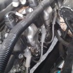 KIMG0690.JPG KIMG0690.JPG