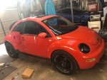 Beetle02.jpg