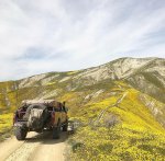 IMG_6454.jpg IMG_6454.jpg