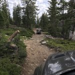 Photo Jul 28, 8 22 11 AM.jpg