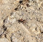 IMG_20181117_114755331_HDR.jpg IMG_20181117_114755331_HDR.jpg